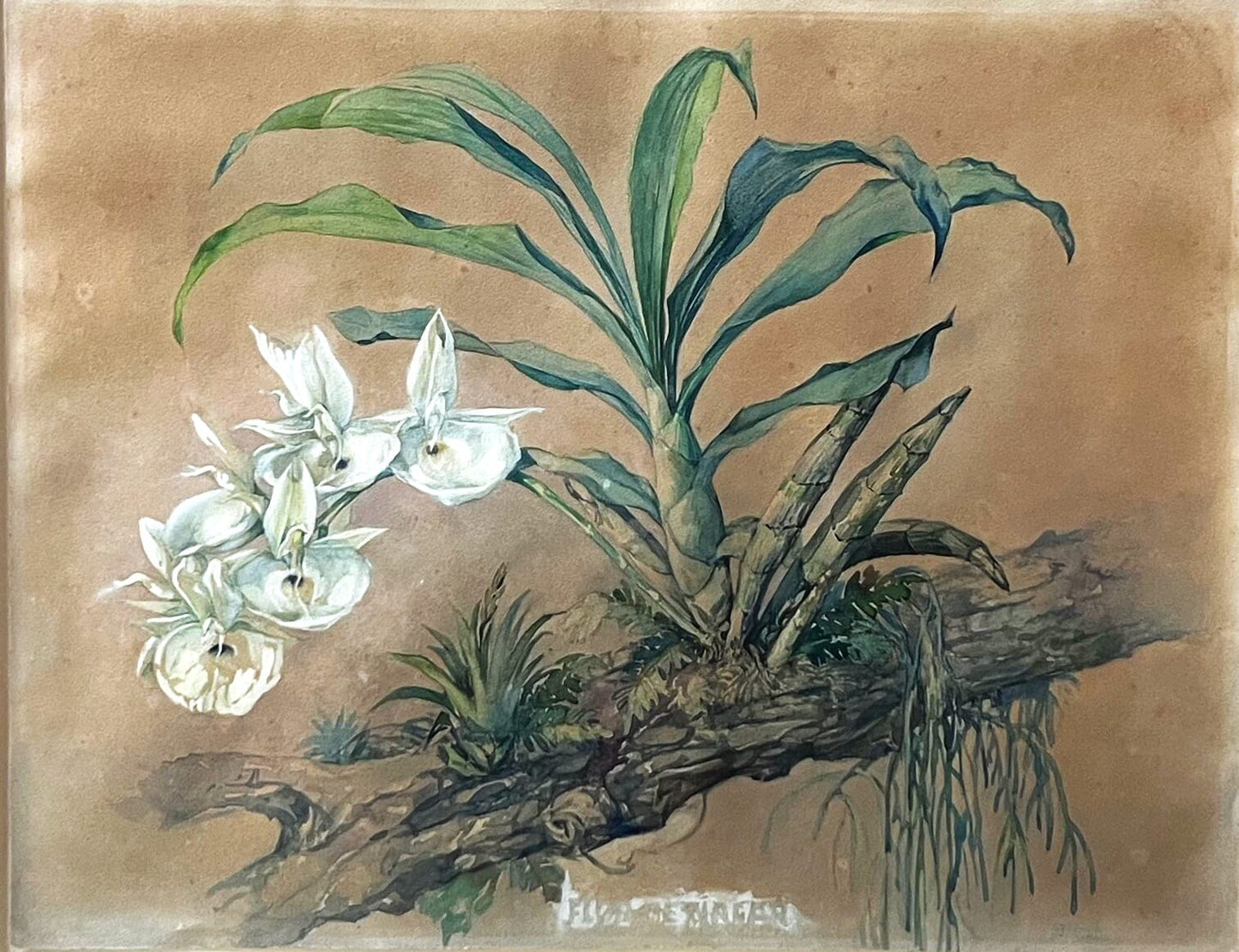 WALTER STEINER STEFFENS