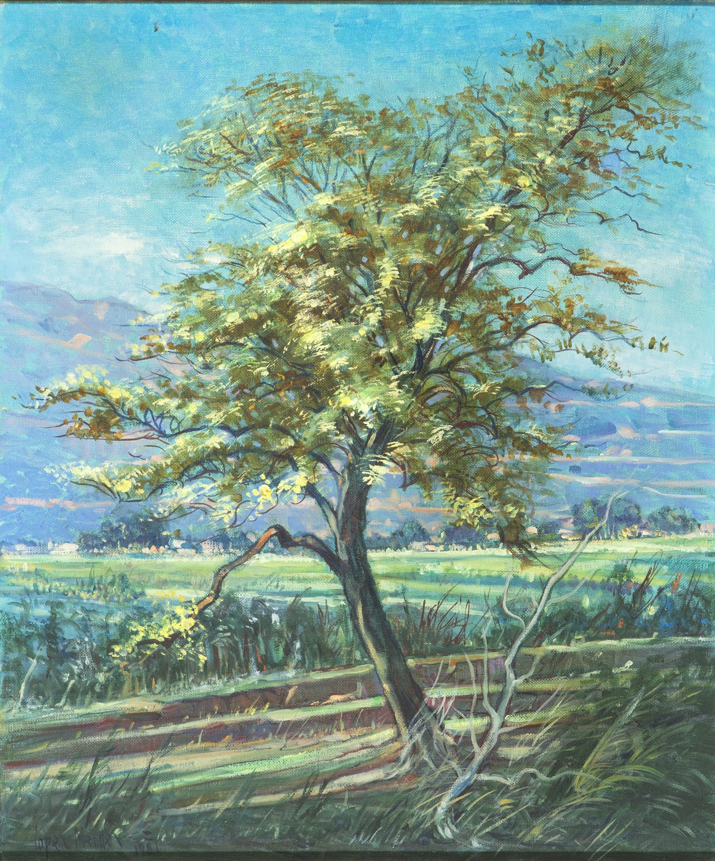 LUIS ALFREDO LÓPEZ MÉNDEZ