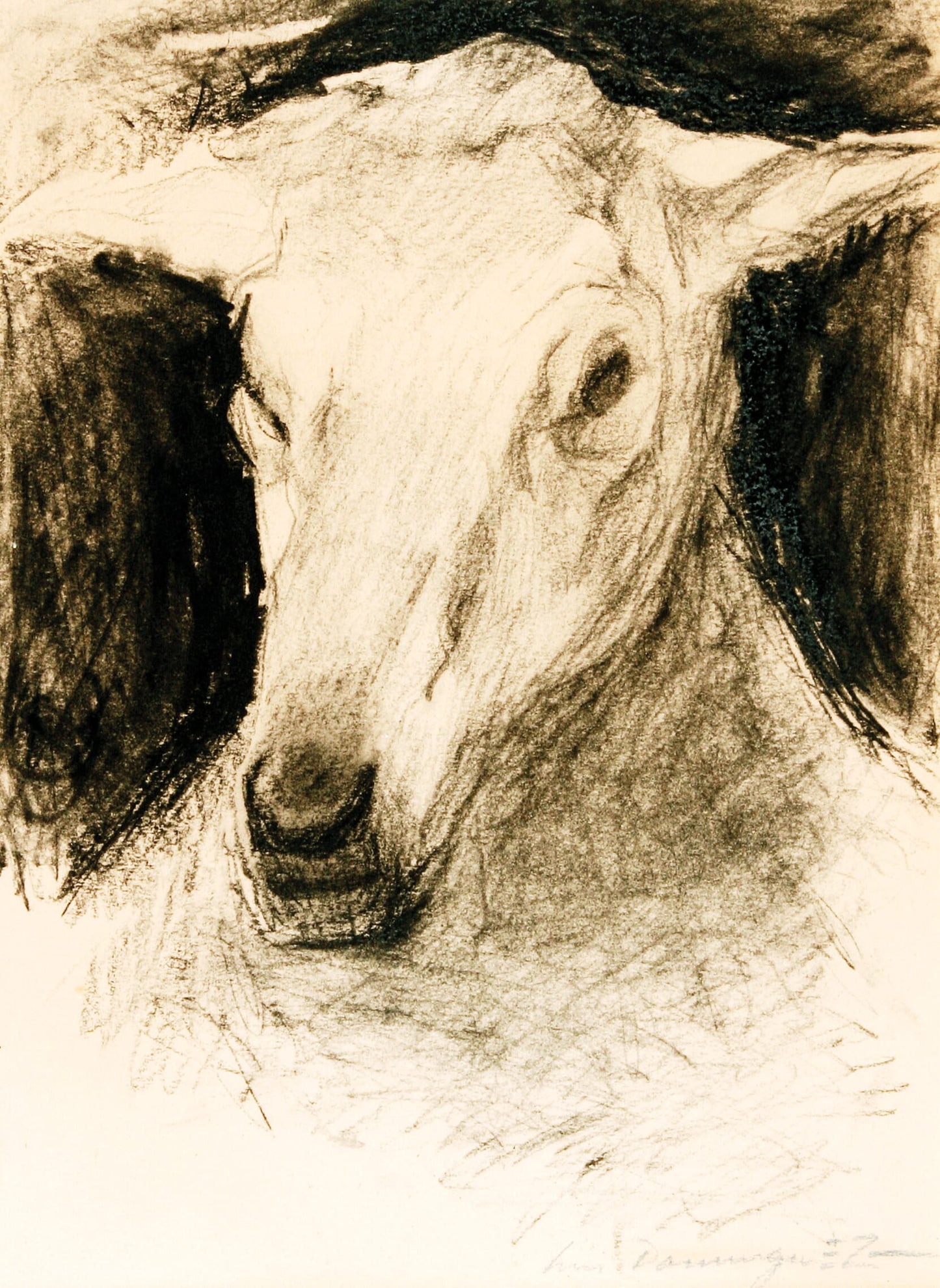 LUIS DOMÍNGUEZ SALAZAR