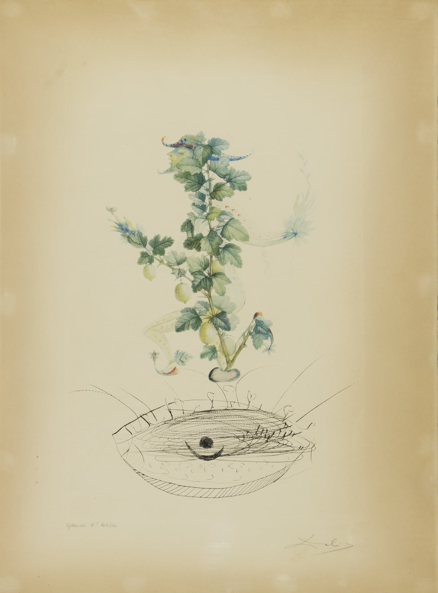 SALVADOR DALÍ