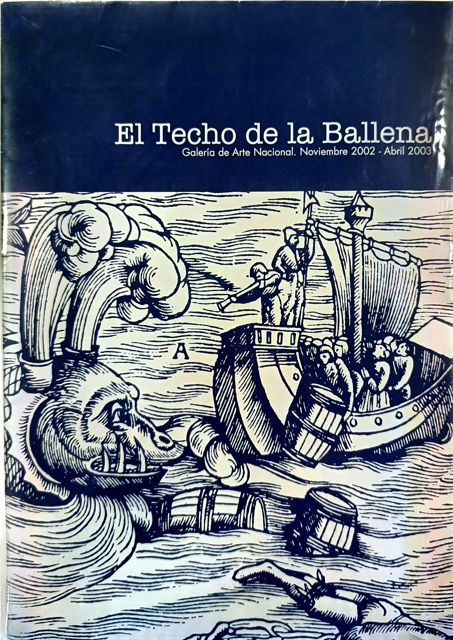 El Techo de la Ballena