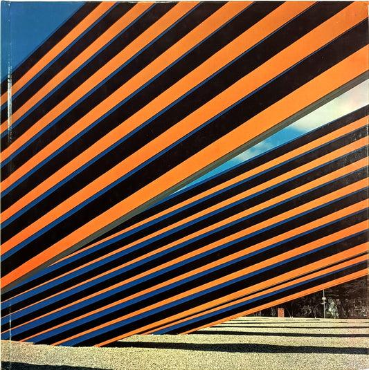 La microestructura radial. Homenaje al sol de Carlos Cruz-Diez