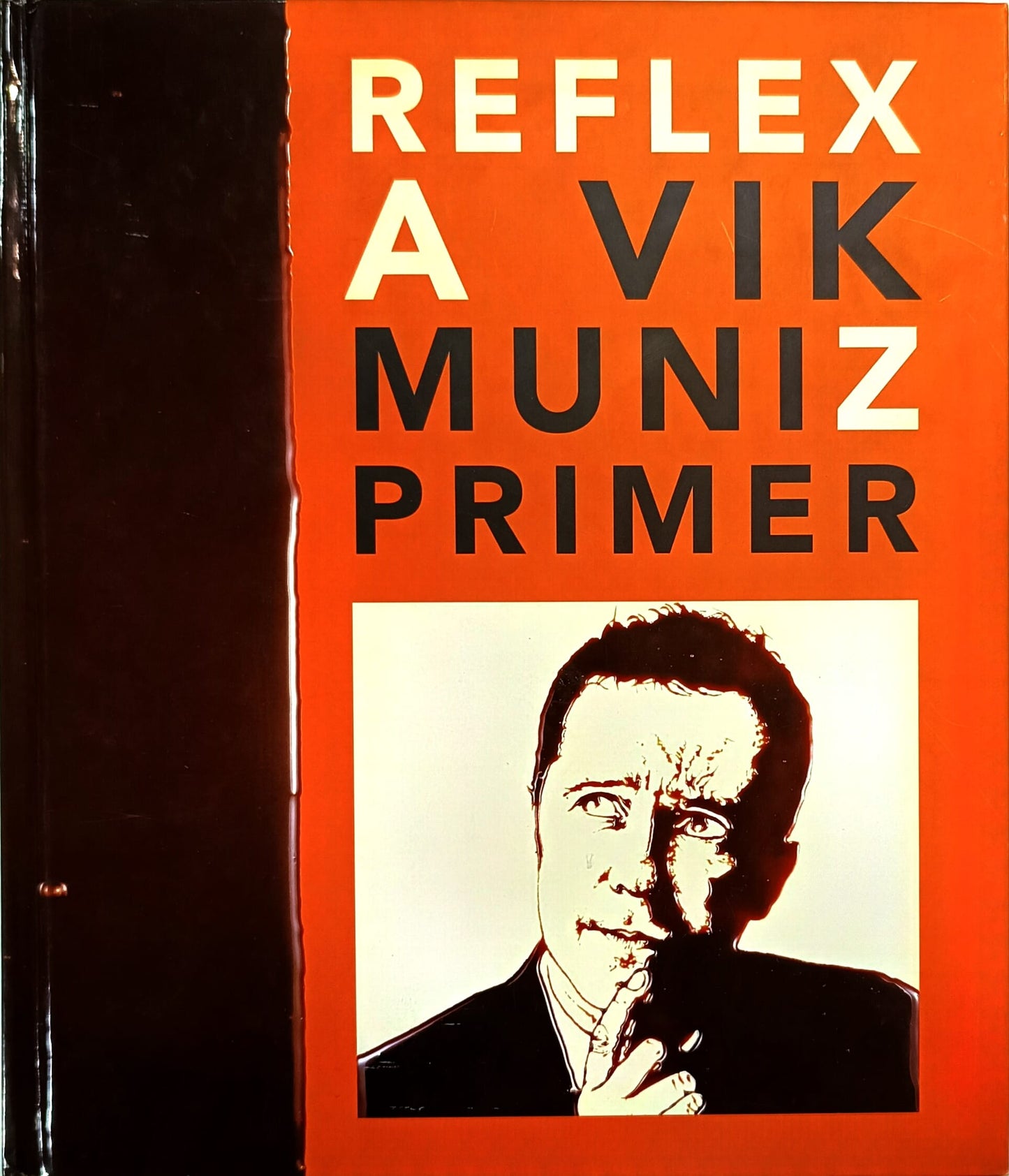 Reflex A Vik Muniz Primer