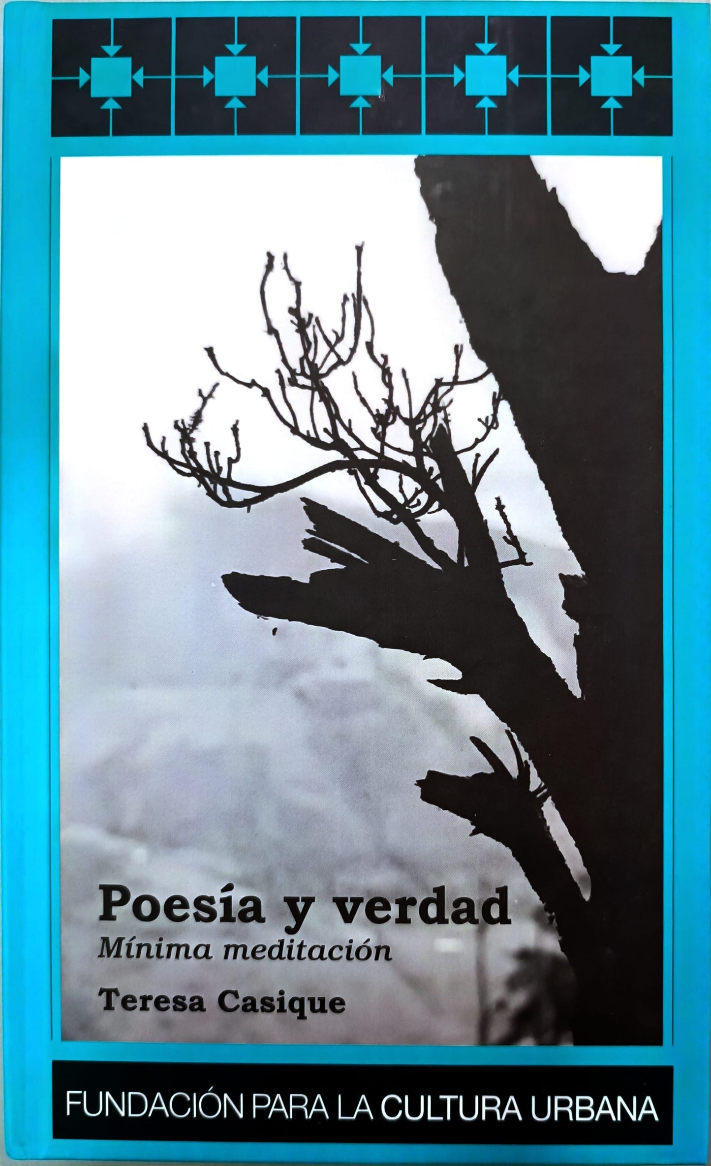 Poesía y Verdad. Mínima meditación